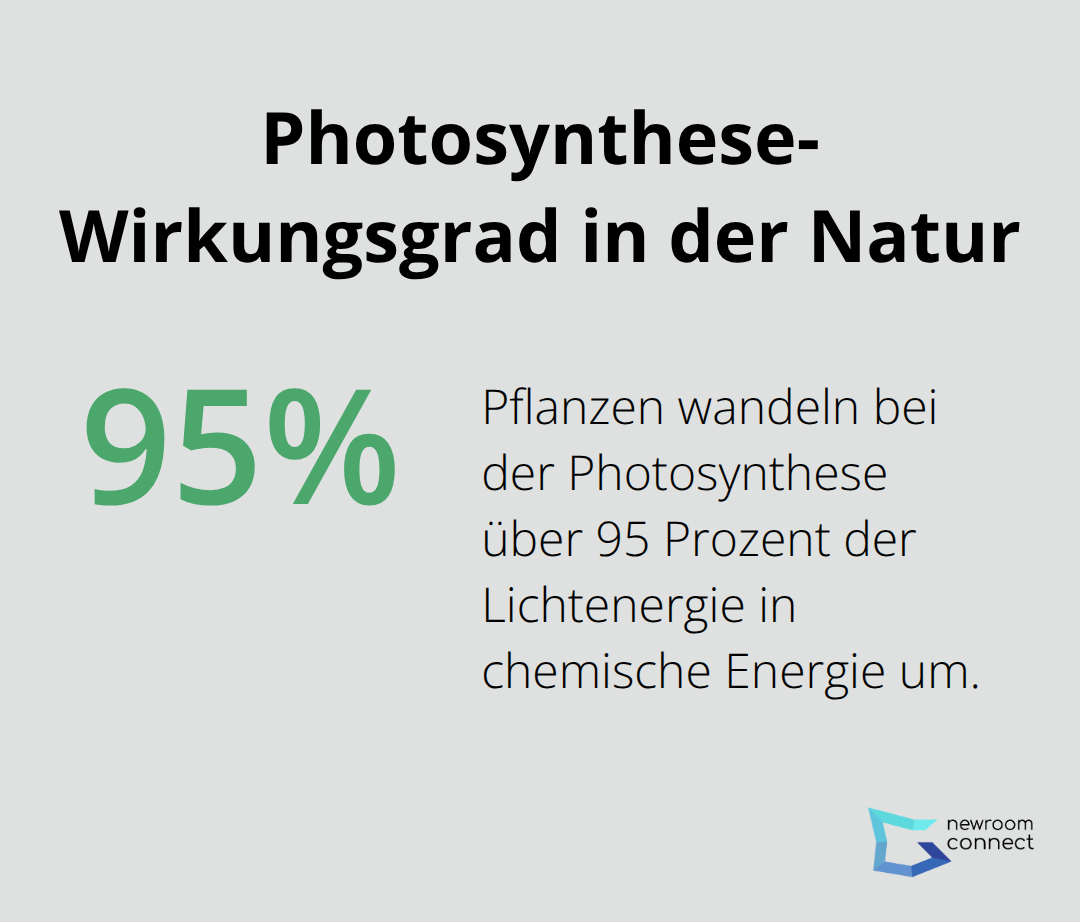 Visualisierung des hohen Wirkungsgrads der Photosynthese in Pflanzen - Quantum Biology